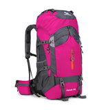 Camping Backpack